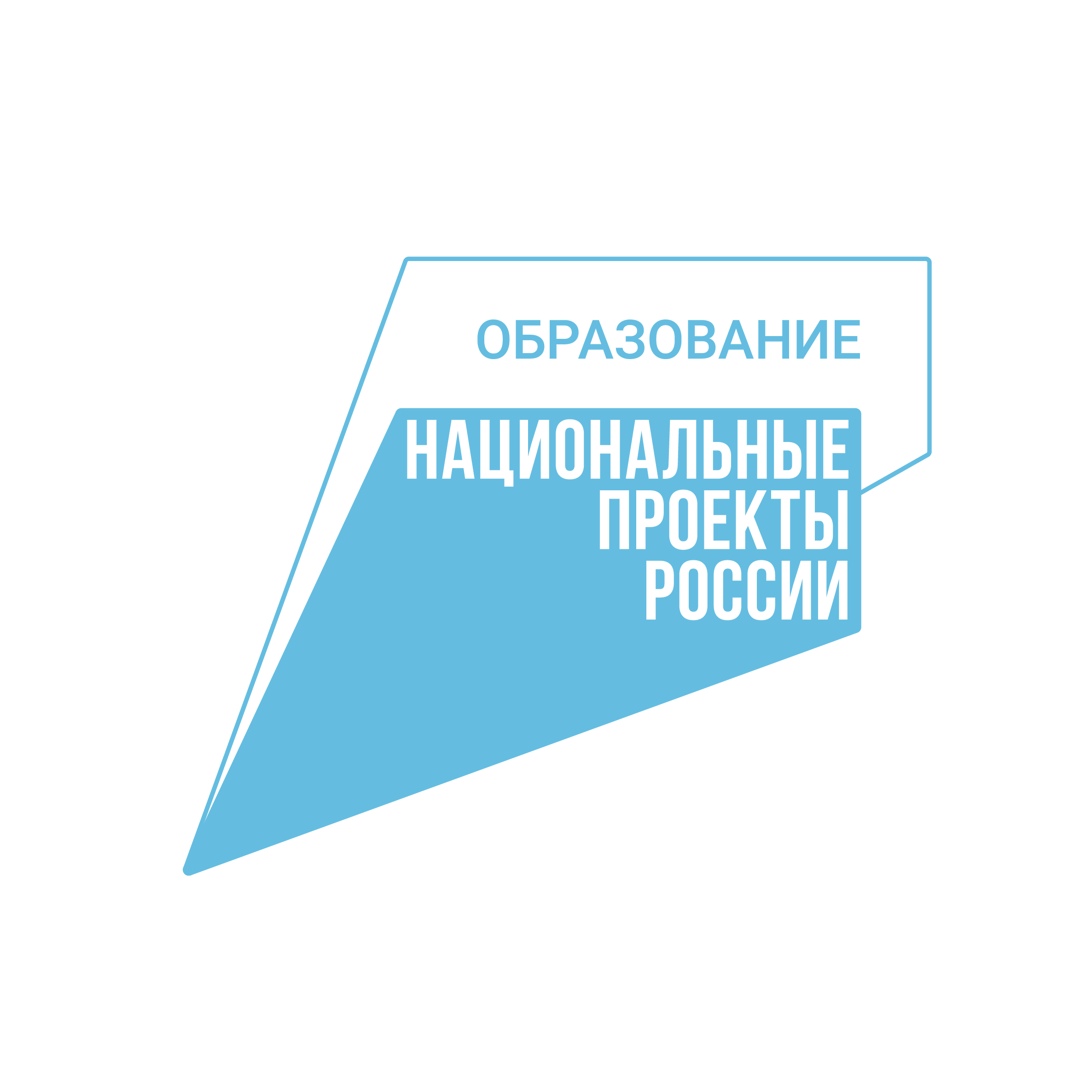 «Повышение уровня цифровой грамотности педагога в рамках реализации областного проекта «Новые цифровые возможности образования Курской области».